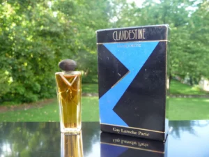 "CLANDESTINE" de Guy LAROCHE