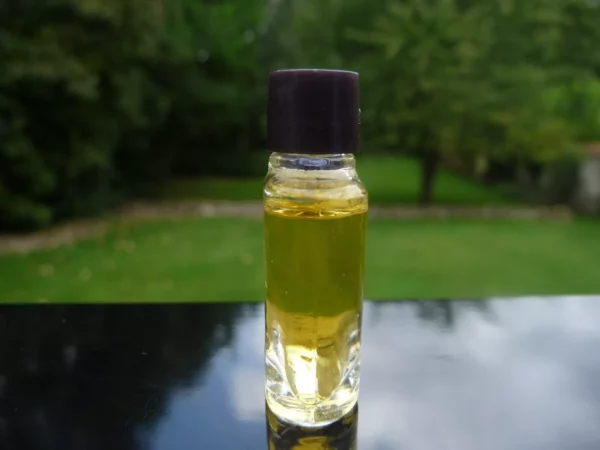 "UN JOUR" de CHARLES JOURDAN