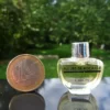 "FLEURS DE ROCAILLE" de CARON