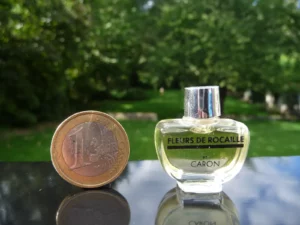 "FLEURS DE ROCAILLE" de CARON