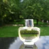 "FLEURS DE ROCAILLE" de CARON