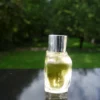 "FLEURS DE ROCAILLE" de CARON