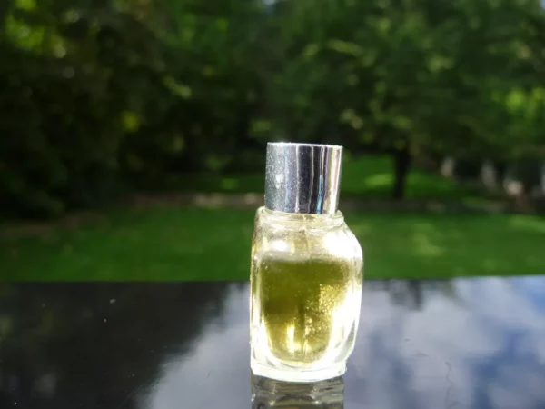 "FLEURS DE ROCAILLE" de CARON