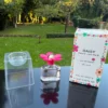 DAISY DELIGHT de MARC JACOBS