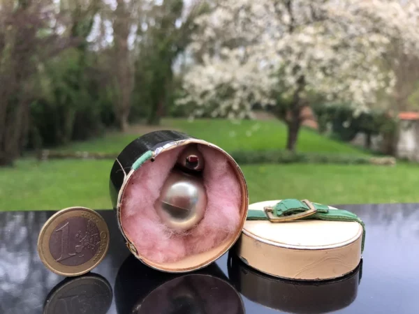 "SUIVEZ-MOI" de VARVA