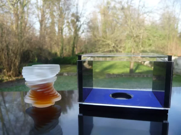 "PEAU" de Claude MONTANA