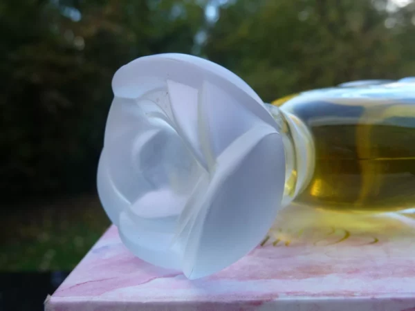 "MON CLASSIQUE" de Pascal MORABITO