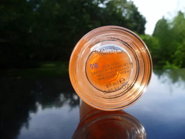 "ROMA"  de Laura BIAGIOTTI