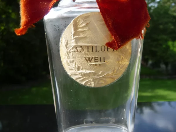 "ANTILOPE" de WEIL
