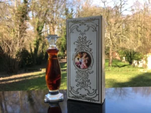 "BAL A VERSAILLES" de DESPREZ Jean