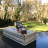"BAL A VERSAILLES" de DESPREZ Jean