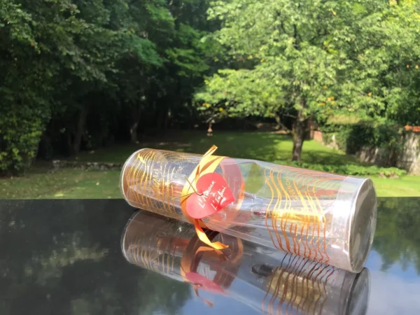 "L'AMOUR A L'INFINI"