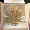 "CHANTILLY" de HOUBIGANT